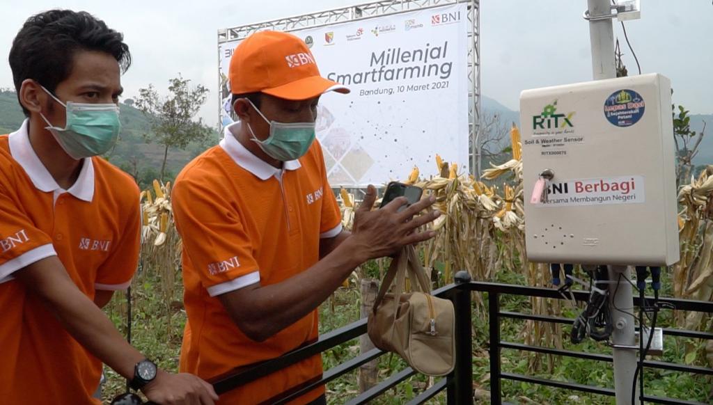 BNI Dukung Ketahanan Pangan Nasional Melalui Millennial Smart Farming ...